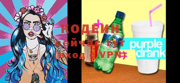 гашик Бородино