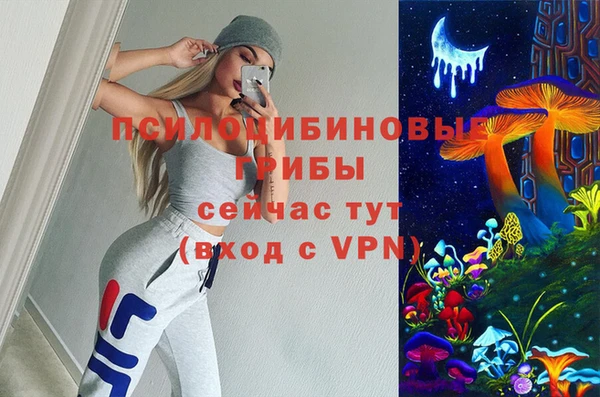 гашик Бородино