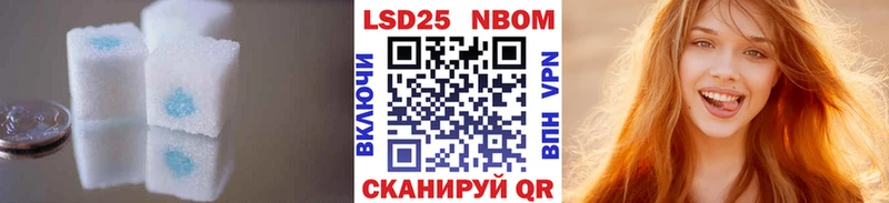 даркнет сайт Карачаевск Лсд 25 экстази кислота