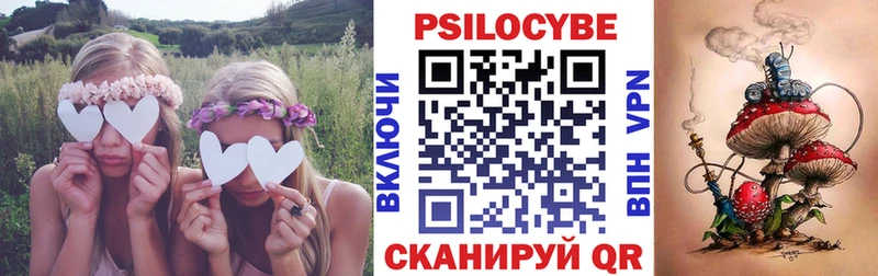 где продают наркотики  Карачаевск  Псилоцибиновые грибы Psilocybine cubensis 